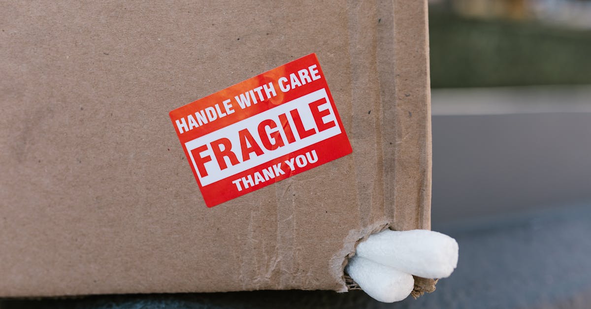 Från dörr till dörr: Revolutionen av moderna leveranstjänster i Sverige 3 delivery-service-217.jpeg